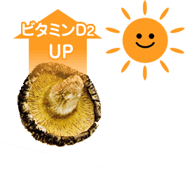 使う前には天日干し