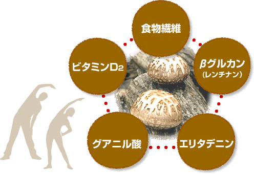 はじめてのしいたけ選び 原木しいたけ通販なら へるしいたけ