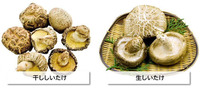 「干ししいたけ」と「生しいたけ」、どっちを選べばいいの？