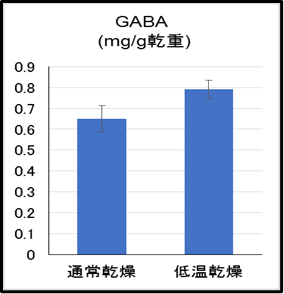 図2　従来乾燥法と低温乾燥法のGABA 含量の比較