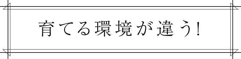 育てる環境が違う!