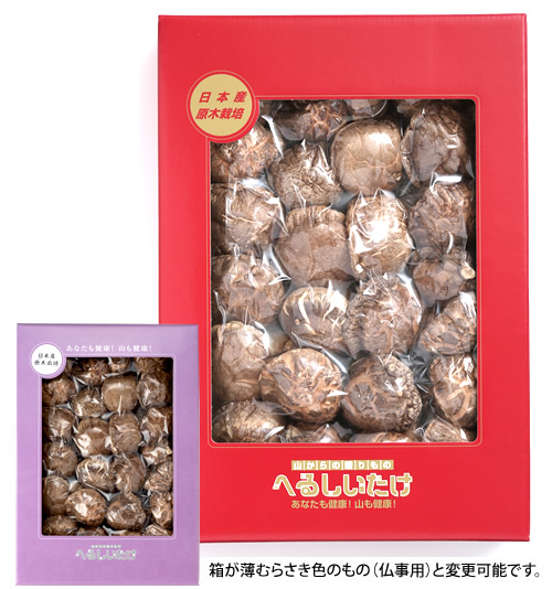 特選厚肉椎茸HG-40