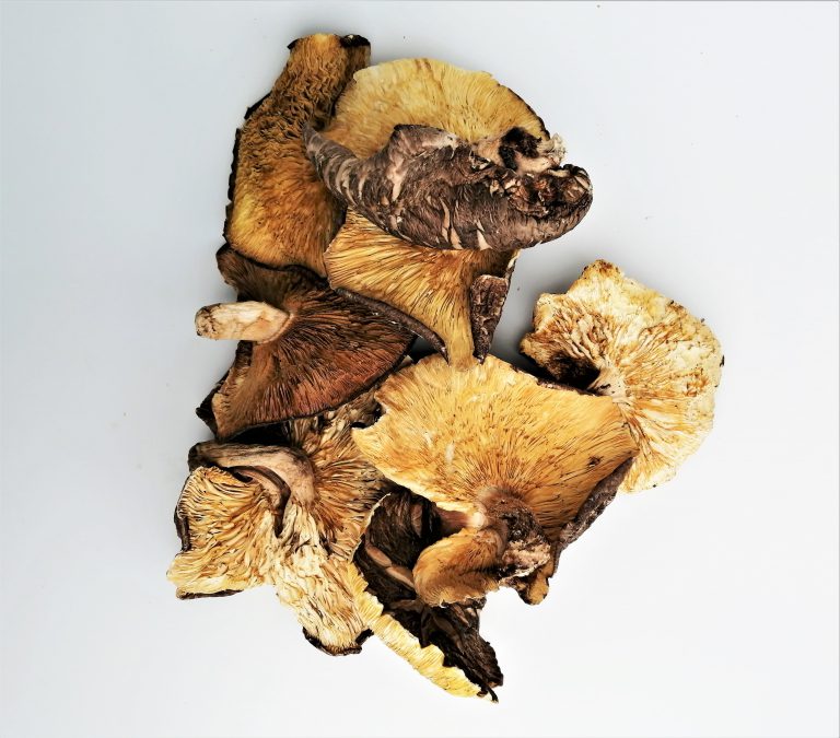 業務用低温乾燥椎茸(だし用)1kg