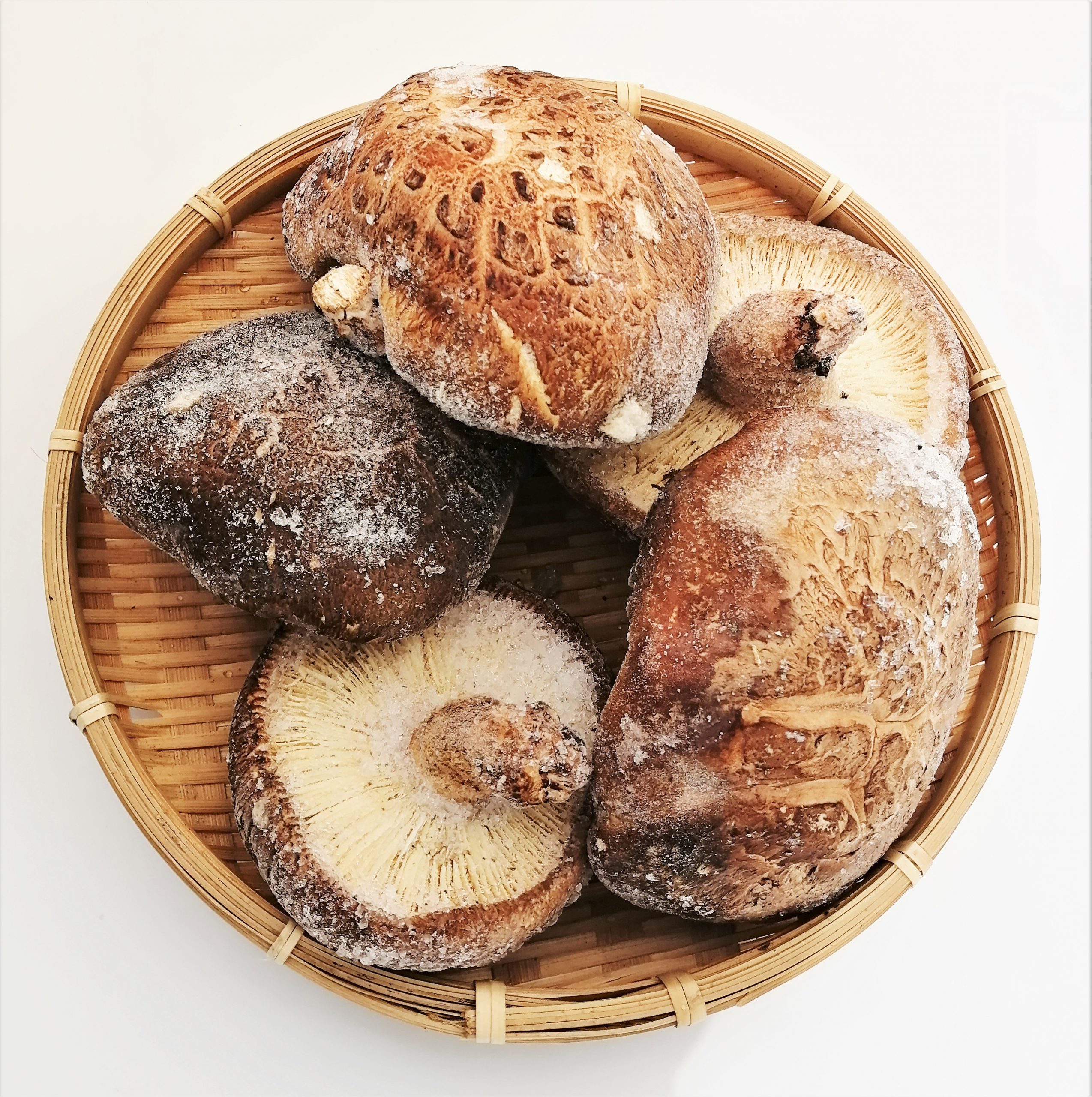 プロ向け 旬の肉厚しいたけをいつでもお届け 冷凍熟成椎茸のご案内 ニュース ブログ 原木しいたけ通販なら へるしいたけ プロ向け 旬の肉厚しいたけをいつでもお届け 冷凍熟成椎茸のご案内 ニュース ブログ 原木しいたけ通販なら へるしいたけ