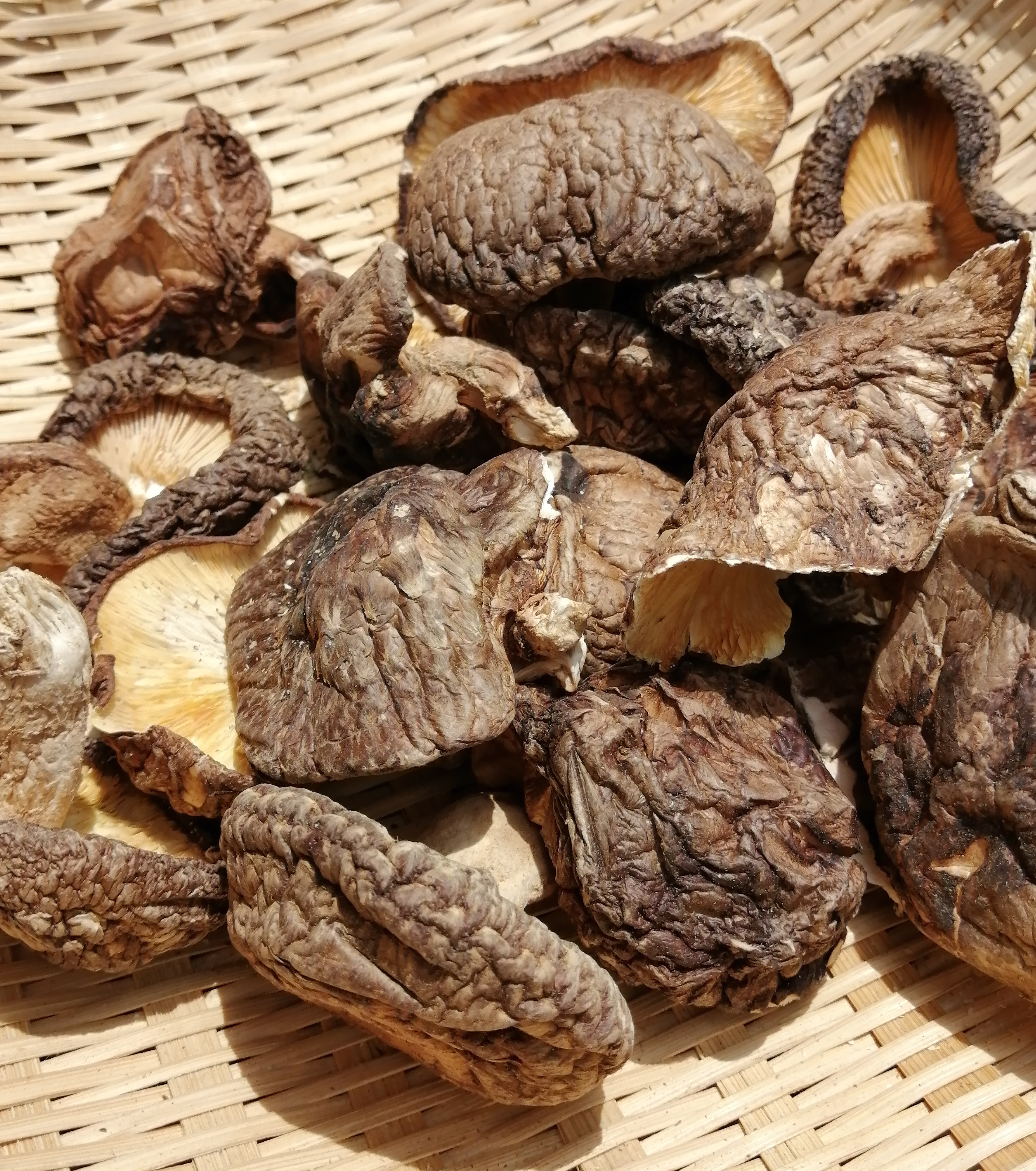 お湯で15分すぐ調理乾しいたけのザル盛り画像