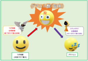 グアニル酸生成の仕組み図解