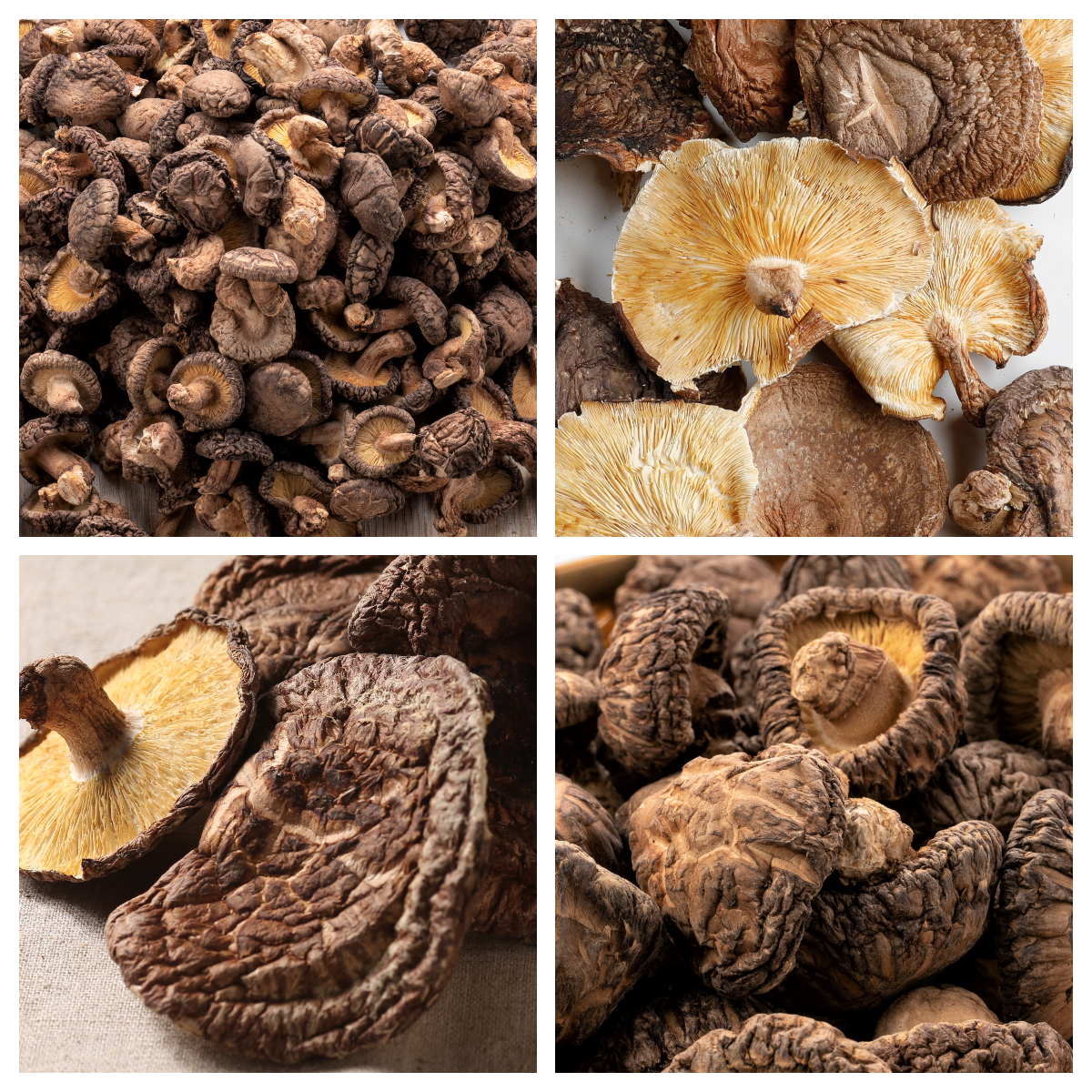 業務用原木栽培干し椎茸 (ホール) 1kg（業務用向け商品） - 原木しいたけ通販なら「へるしいたけ」