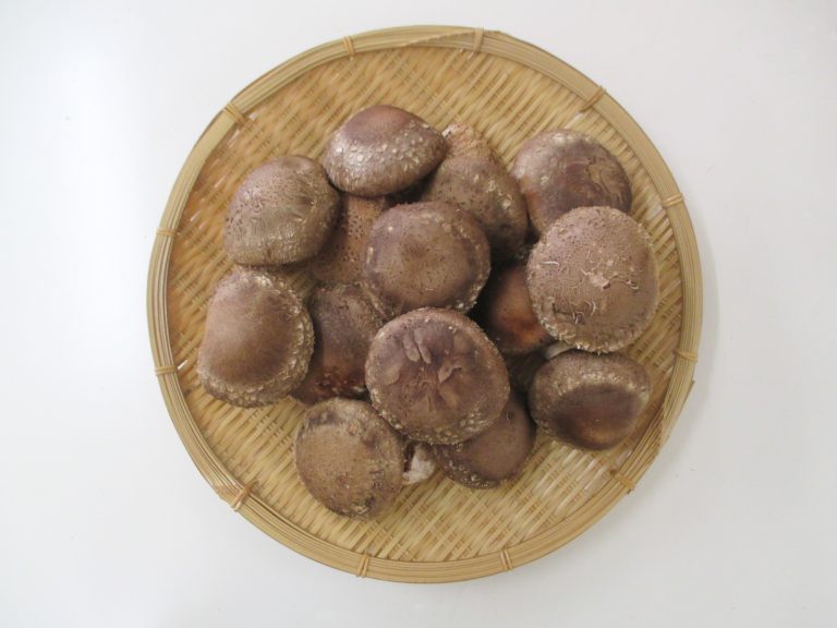 冷凍熟成椎茸（２Lサイズ：７cm～８cm）