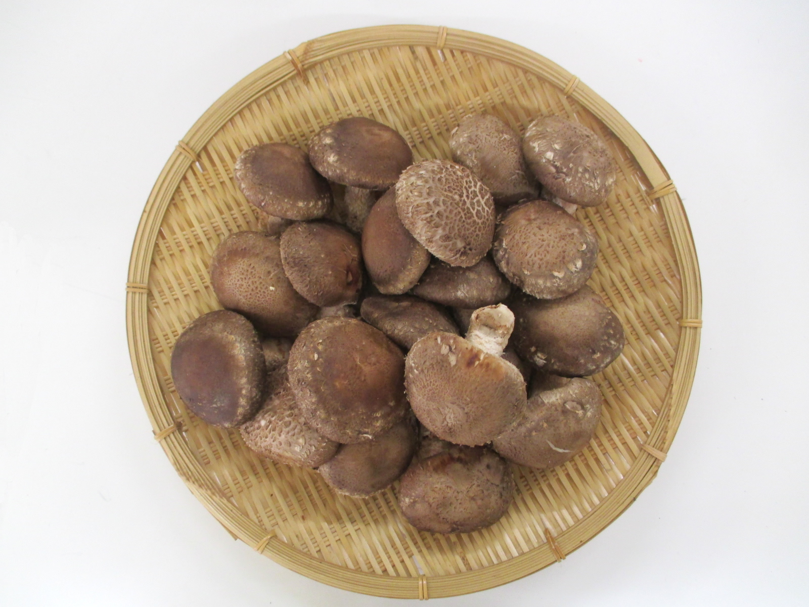 冷凍熟成椎茸（Lサイズ：6cm～7cm）（業務用向け商品） - 原木